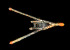  (Lovenia - CCDB-31598 F06)  @11 [ ] by-nc-sa (2021) Peter J. Bryant University of California, Irvine