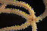  ( - CCDB-31778 B01)  @11 [ ] CreativeCommons - Attribution Non-Commercial Share-Alike (2018) Peter J. Bryant University of California, Irvine