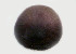  ( - CCDB-31778 C03)  @11 [ ] CreativeCommons - Attribution Non-Commercial Share-Alike (2018) Peter J. Bryant University of California, Irvine