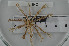  ( - ECHNO_69034)  @12 [ ] CreativeCommons - Attribution Non-Commercial Share-Alike (2015) NTNU University Museum, Department of Natural History NTNU University Museum, Department of Natural History