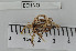  ( - ECHNO_69043)  @12 [ ] CreativeCommons - Attribution Non-Commercial Share-Alike (2015) NTNU University Museum, Department of Natural History NTNU University Museum, Department of Natural History
