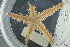  ( - ZMBN_106167)  @11 [ ] CreativeCommons - Attribution Non-Commercial Share-Alike (2016) University of Bergen Natural History Collections