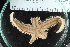  ( - ZMBN_106193)  @11 [ ] CreativeCommons - Attribution Non-Commercial Share-Alike (2016) University of Bergen Natural History Collections