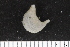  ( - ZMBN_106240)  @11 [ ] CreativeCommons - Attribution Non-Commercial Share-Alike (2016) University of Bergen Natural History Collections