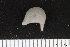  ( - ZMBN_106240)  @11 [ ] CreativeCommons - Attribution Non-Commercial Share-Alike (2016) University of Bergen Natural History Collections