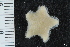 ( - ZMBN_112717)  @11 [ ] CreativeCommons - Attribution Non-Commercial Share-Alike (2019) University of Bergen Natural History Collections