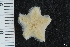  ( - ZMBN_112717)  @11 [ ] CreativeCommons - Attribution Non-Commercial Share-Alike (2019) University of Bergen Natural History Collections