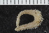  ( - ZMBN_112718)  @11 [ ] CreativeCommons - Attribution Non-Commercial Share-Alike (2019) University of Bergen Natural History Collections