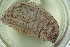  ( - ZMBN_116615)  @11 [ ] CreativeCommons - Attribution Non-Commercial Share-Alike (2017) University of Bergen Natural History Collections