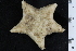  (Poraniomorpha sp. TA2 - ZMBN_120588)  @11 [ ] CreativeCommons - Attribution Non-Commercial Share-Alike (2018) University of Bergen Natural History Collections