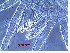  ( - EC1ITS2)  @11 [ ] No Rights Reserved (2015) Shruti Bennur kerala agricultural university