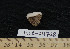  (Actinopyga lecanora - HLC-24728)  @13 [ ] CreativeCommons - Attribution (2010) Unspecified Centre for Biodiversity Genomics