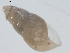  ( - 11ECMOL-0254)  @12 [ ] CreativeCommons - Attribution  Unspecified Centre for Biodiversity Genomics