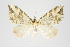  (Psaliodes sp. PSEO18 - Pl00024)  @12 [ ] Copyright (2010) Gunnar Brehm Research Collection of Gunnar Brehm