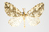  (Psaliodes sp. PSEO26 - Pl00032)  @13 [ ] Copyright (2010) Gunnar Brehm Research Collection of Gunnar Brehm