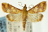  ( - CNCLEP00089891)  @13 [ ] CreativeCommons - Attribution Non-Commercial Share-Alike (2011) Jean-Francois Landry, CNC and Zhaofu Yang, BIO Canadian National Collections