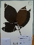  ( - AP-10612)  @11 [ ] Copyright (2030) Unspecified Columbus State University