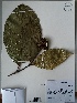  ( - AP-10636)  @11 [ ] Copyright (2051) Unspecified Columbus State University