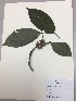  ( - RLJ-11011)  @11 [ ] Copyright (2017) Unspecified Columbus State University
