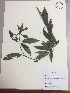  ( - RLJ-11036)  @11 [ ] Copyright (2017) Unspecified Columbus State University