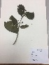  ( - RLJ-11074)  @11 [ ] Copyright (2017) Unspecified Columbus State University