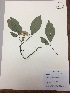  ( - RLJ-11141)  @11 [ ] Copyright (2017) Unspecified Columbus State University