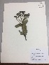  ( - RLJ-11187)  @11 [ ] Copyright (2017) Unspecified Columbus State University