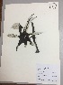  ( - RLJ-11223)  @11 [ ] Copyright (2017) Unspecified Columbus State University