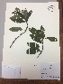  ( - RLJ-11228)  @11 [ ] Copyright (2017) Unspecified Columbus State University