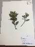  ( - RLJ-11241)  @11 [ ] Copyright (2017) Unspecified Columbus State University