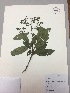  ( - RLJ-11316)  @11 [ ] Copyright (2017) Unspecified Columbus State University