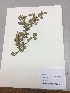  ( - RLJ-11348)  @11 [ ] Copyright (2017) Unspecified Columbus State University