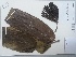  (Tetrathylacium - AP-9170)  @11 [ ] Copyright (2059) Unspecified Columbus State University