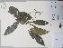  ( - AP-9207)  @11 [ ] Copyright (2096) Unspecified Columbus State University
