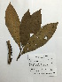  ( - AP-3694)  @11 [ ] Copyright (2016) Unspecified Columbus State University