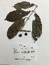  ( - AP-3728)  @11 [ ] Copyright (2016) Unspecified Columbus State University
