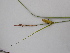  ( - EDNA23-0064990)  @11 [ ] CreativeCommons Attribution NonCommercial ShareAlike (2023) Andy Griffiths Royal Botanic Garden, Edinburgh