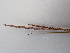  ( - EDNA23-0064990)  @11 [ ] CreativeCommons Attribution NonCommercial ShareAlike (2023) Andy Griffiths Royal Botanic Garden, Edinburgh