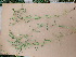  ( - EDNA23-0064992)  @11 [ ] CreativeCommons Attribution NonCommercial ShareAlike (2023) Andy Griffiths Royal Botanic Garden, Edinburgh