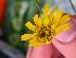  ( - EDNA24-0067058)  @11 [ ] CreativeCommons Attribution NonCommercial ShareAlike (2024) Andy Griffiths Royal Botanic Garden, Edinburgh