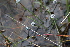  ( - EDNA21-0061463)  @11 [ ] CreativeCommons Attribution NonCommercial ShareAlike (2021) Markus Ruhsam Royal Botanic Garden, Edinburgh