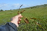  ( - EDNA24-0066524)  @11 [ ] CreativeCommons Attribution NonCommercial ShareAlike (2024) Markus Ruhsam Royal Botanic Garden, Edinburgh