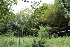  ( - EDNA21-0061428)  @11 [ ] CreativeCommons Attribution NonCommercial ShareAlike (2021) Markus Ruhsam Royal Botanic Garden, Edinburgh