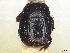 ( - BIOUG80123-A12)  @11 [ ] CreativeCommons - Attribution (2022) CBG Photography Group Centre for Biodiversity Genomics