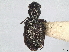  ( - BIOUG80123-B04)  @11 [ ] CreativeCommons - Attribution (2022) CBG Photography Group Centre for Biodiversity Genomics