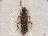  ( - BIOUG80123-G08)  @11 [ ] CreativeCommons - Attribution (2022) CBG Photography Group Centre for Biodiversity Genomics