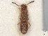 ( - BIOUG80123-H03)  @11 [ ] CreativeCommons - Attribution (2022) CBG Photography Group Centre for Biodiversity Genomics