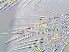  ( - EES011)  @12 [ ] CreativeCommons - Attribution Share-Alike  Unspecified Unspecified