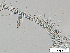  ( - EES002)  @13 [ ] CreativeCommons - Attribution Share-Alike  Unspecified Unspecified