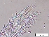  ( - EES003)  @12 [ ] CreativeCommons - Attribution Share-Alike  Unspecified Unspecified